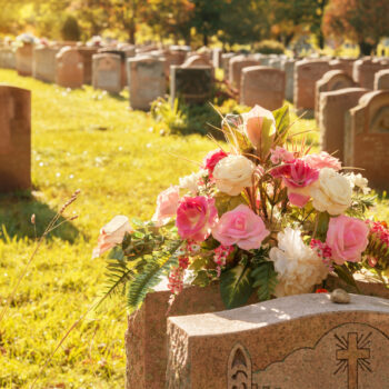 Roses in a cemetery with headstones in the background (faded retro effect)